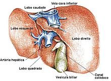 Hepatite medicamentosa[editar